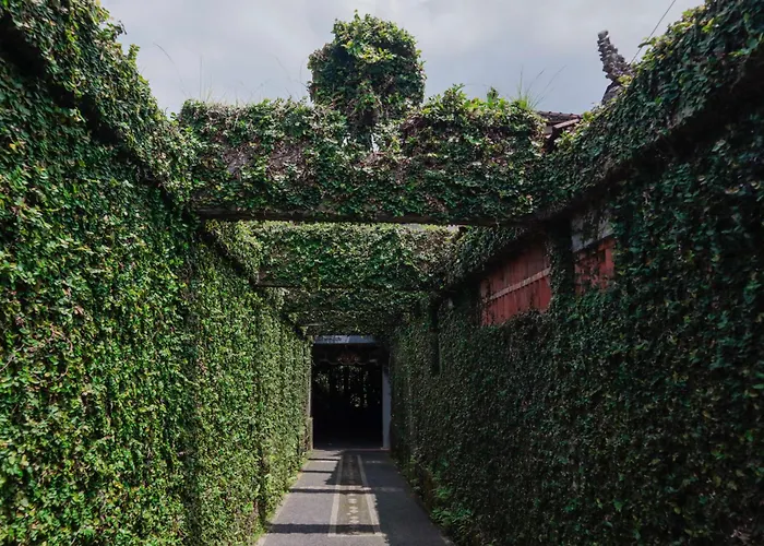 Legoon House Affittacamere *