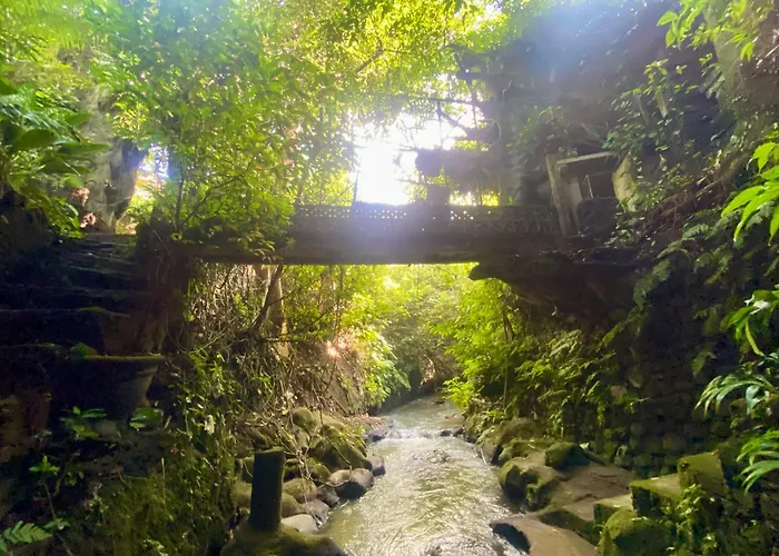 Affittacamere Legoon House Ubud