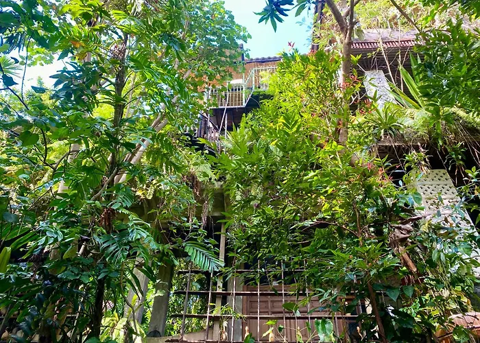 Affittacamere Legoon House
